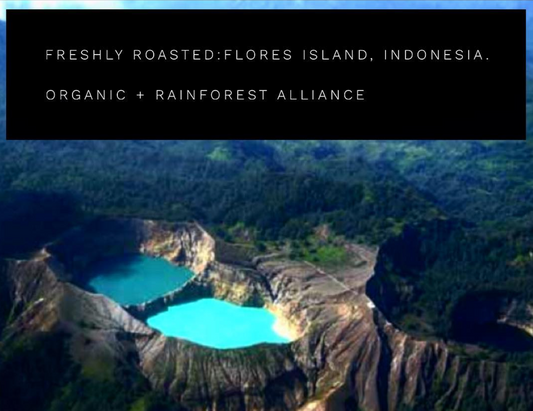 Indonesian coffee in Calgary - Flores Island Coffee - Green Dragon and Blue Dragon Beans