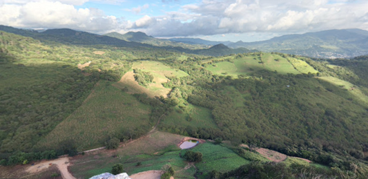 Fair Trade Nicaraguan Coffee Beans in Calgary