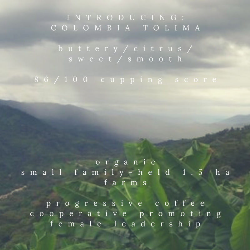 Why We are Roasting Colombian Tolima Organic Coffee