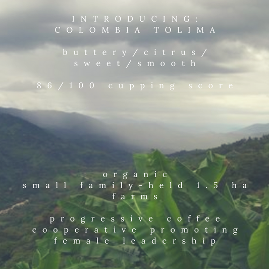 Why We are Roasting Colombian Tolima Organic Coffee